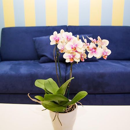 Bed and Breakfast Lemon Flats Сорренто Экстерьер фото